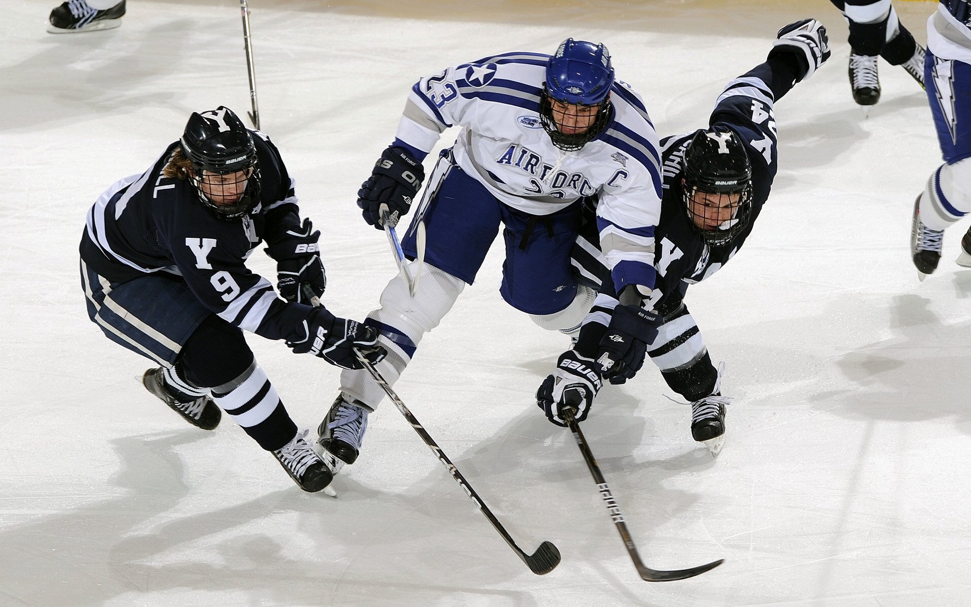 为爱而战:台球运动员的故事分享,台球体育明星