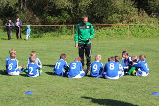 开云官网APP下载-中国篮球教练员战术创新能力培养及培训机制研究，全国篮球教练员岗位培训