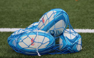 开云中国大陆-法国橄榄球赛事的票房和赞助收入创历史新高，法国橄榄球国家队